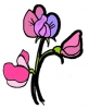 Flowers - Sweet Pea's
